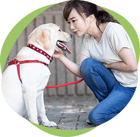 ワンちゃんと飼い主の画像