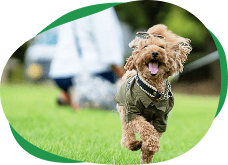 「プライバシーポリシー」ページMV