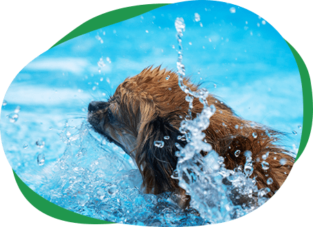 「サイトマップ」ページMV